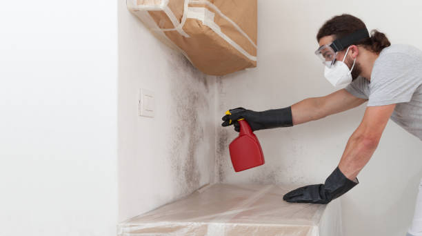 Professional Black Mold Removal technician working in Montville, NJ
