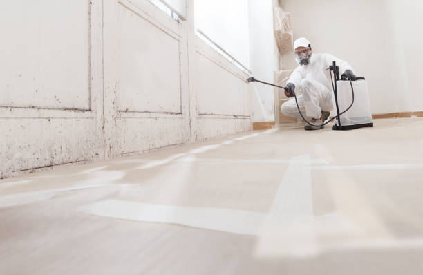 24/7 Emergency Black Mold Removal experts in Montville, NJ